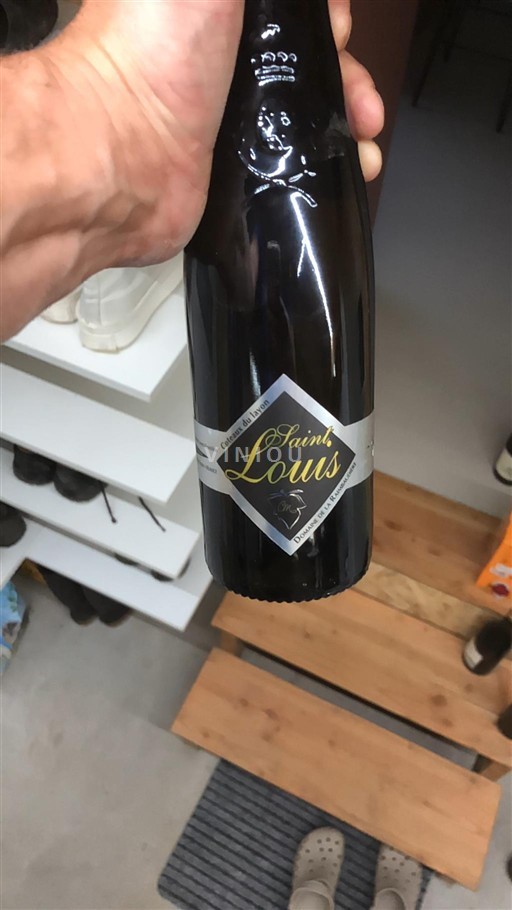 Loiretal Coteaux-du-Layon Domaine La Raimbaudière Saint Louis 2016