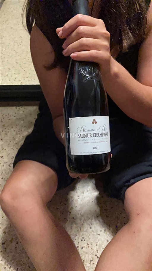 Loiretal Saumur-Champigny Domaine Des Dames Sélectionné au Domaine 2021