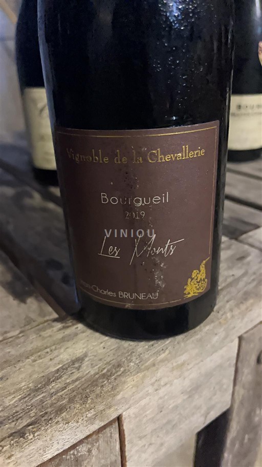 Vin Rouge sec Les Monts Vignoble de la Chevallerie 2019 France Vallée de la Loire Bourgueil AOC