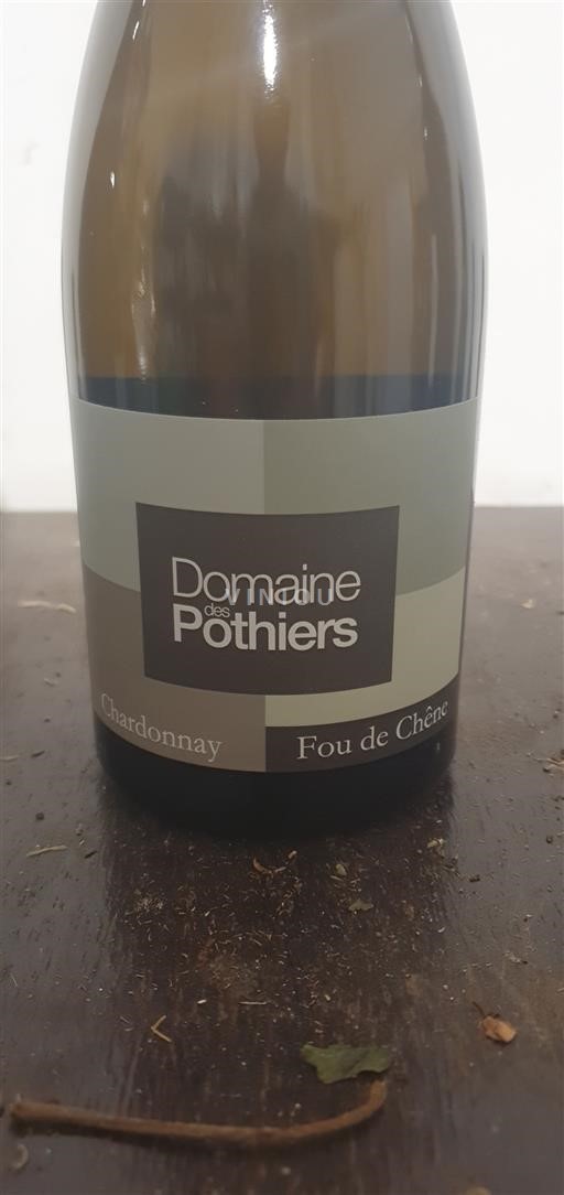 Loiretal Côte Roannaise Domaine Des Pothiers Fou de Chêne 2022