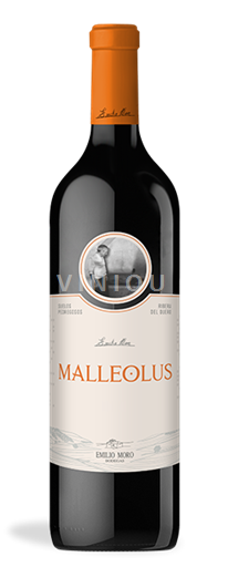 Castille et León Ribera del Duero Emilio Moro Malleolus 2020