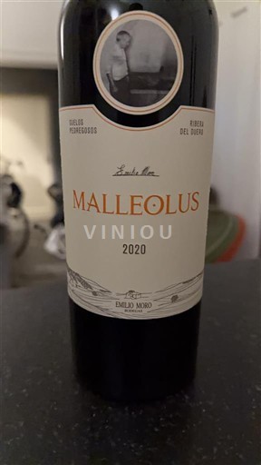 Castille và León Ribera del Duero Emilio Moro Malleolus 2020