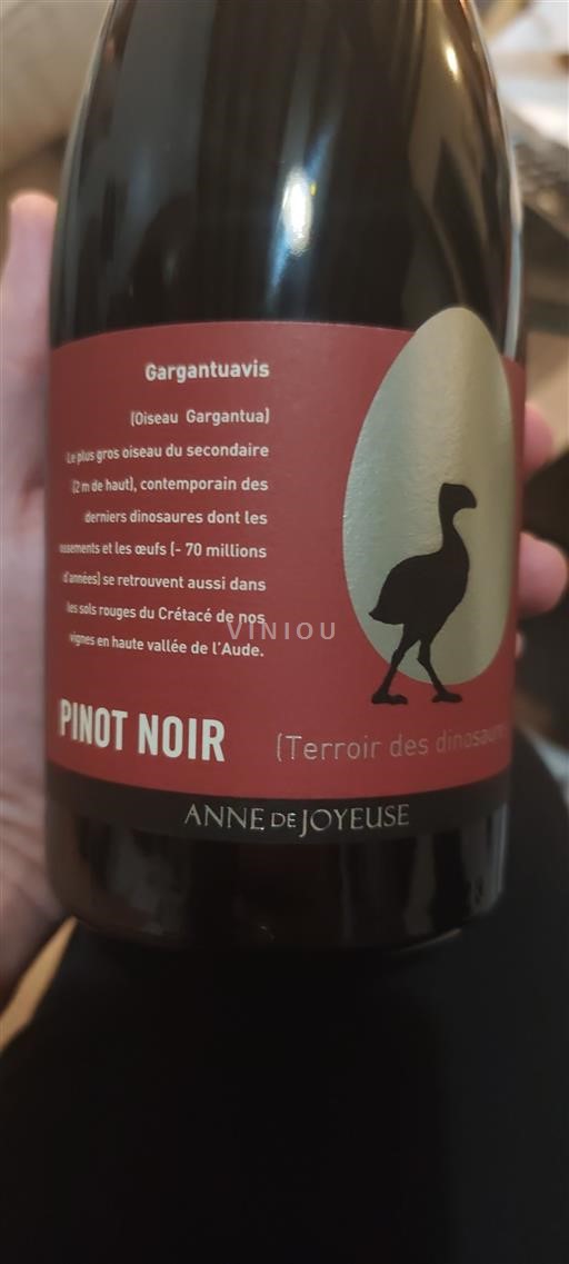 Languedoc Ikke specificeret Anne de Joyeuse Terroir des dinosaures 2022