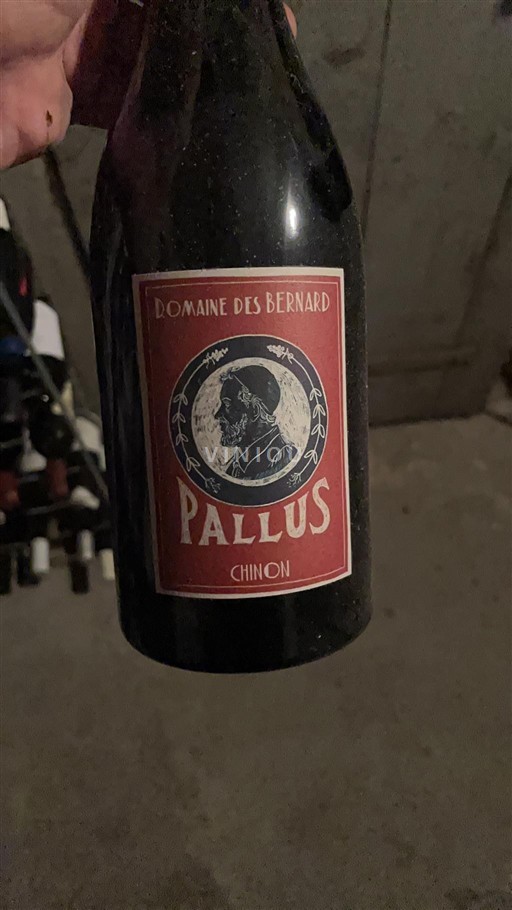 Loire Valley Chinon Domaine Des Bernard Pallus 2022
