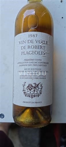 Sydväst Gaillac Domaine Plageoles Vin de Voile 1987