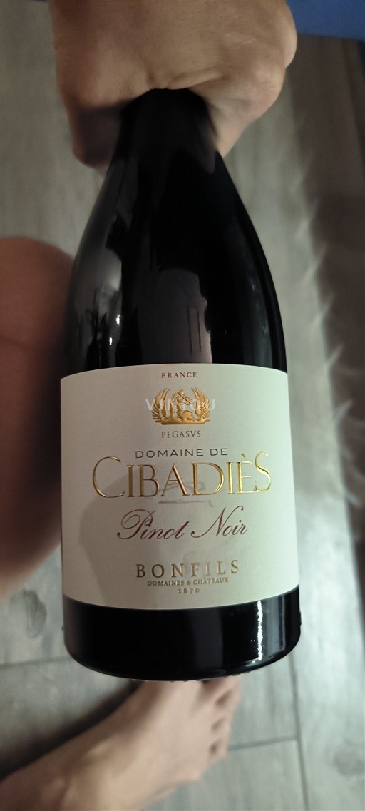 Languedoc No especificado Domaine Cibadiès Pinot Noir 2024