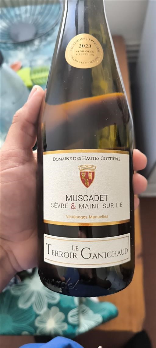 Thung lũng sông Loire Không được chỉ định Domaine Des Hautes Cottières Le Terroir Ganichaud 2023