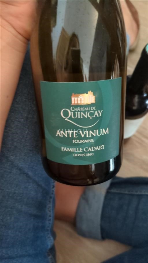 Údolí Loiry Touraine Château Quincay Ante Vinum Neročník