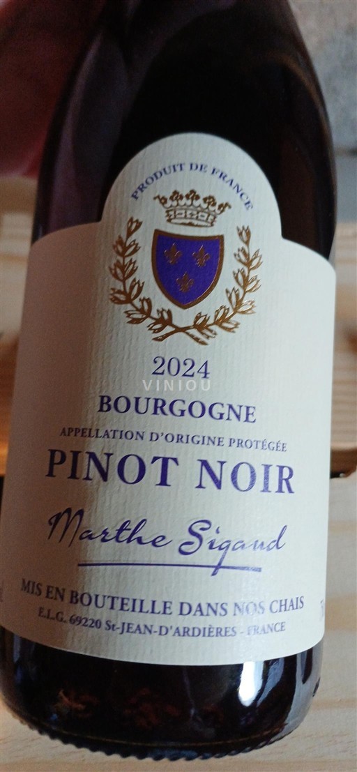 Burgundy Marthe Sigaud 2024