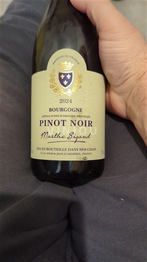 Burgundi Bourgogne Marthe Sigaud 2024