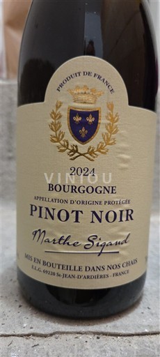 Bourgogne Marthe Sigaud 2024