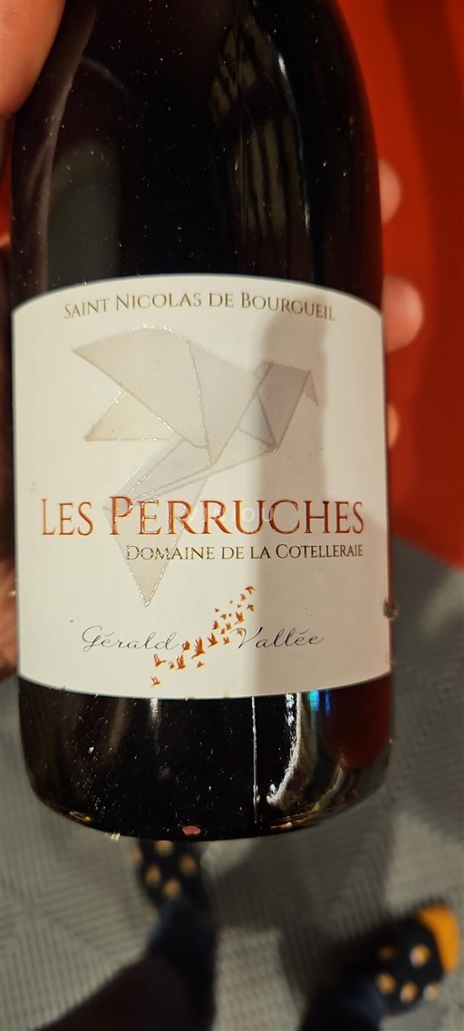 Loire-dalen Saint-Nicolas-De-Bourgueil Domaine La Cotelleraie Les Perruches Ikke årgangsbestemt