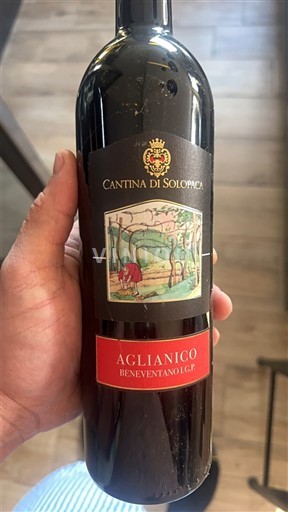 Кампанія Не вказано Cantina di Solopaca Без вінтажу