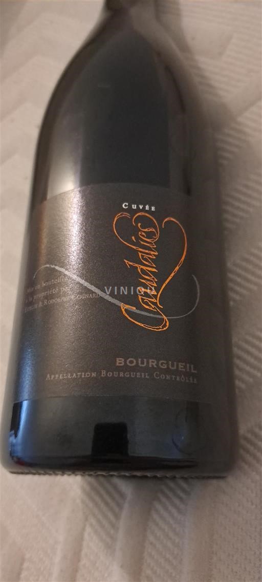 Loiretal Bourgueil Caudalies 2015