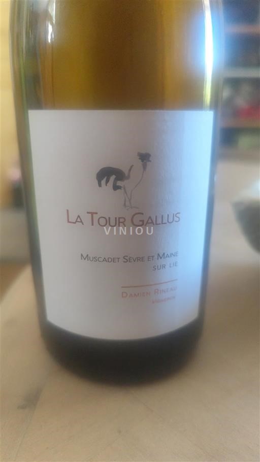 Thung lũng sông Loire Muscadet Sèvre et Maine Damien Rineau La Tour Gallus Không niên vụ