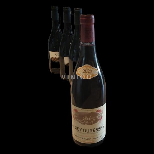 Burgund Auxey-Duresses Charles Noëllat 2023