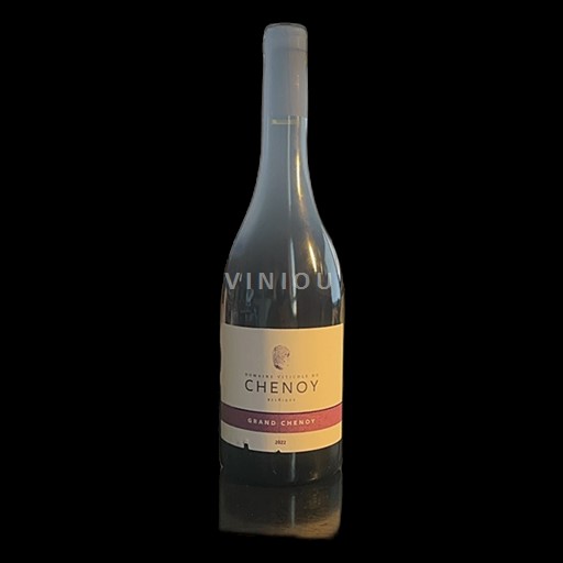Wallonie Côtes de Sambre et Meuse Domaine Viticole du Chenoy Grand Chenoy 2022