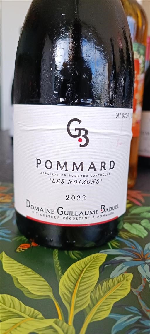 Borgoña Pommard Domaine Guillaume Baduel Les Noizons 2022