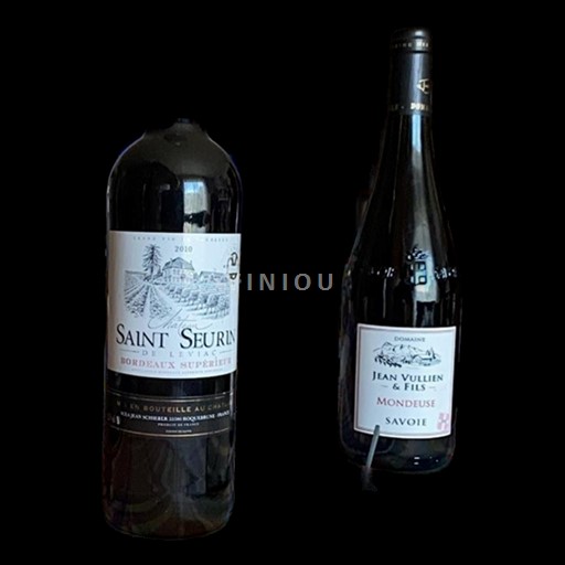 Vin Rouge sec Cuvée MINGOT Château Saint Seurin de Léviac 2010 France Bordeaux Bordeaux supérieur AOC