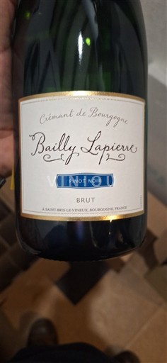 Burgundija Crémant de Bourgogne Bailly Lapierre Pinot Noir Neleten.