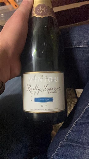 Burgund Crémant de Bourgogne Bailly Lapierre Pinot Noir Ohne Jahrgang