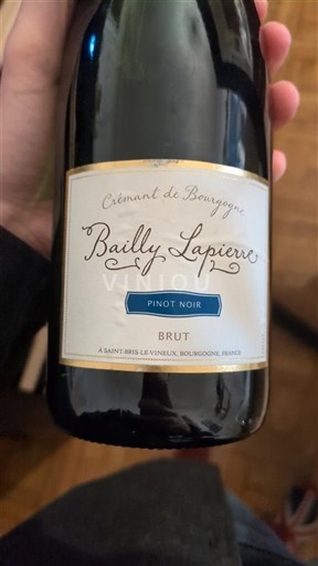 Burgundija Crémant de Bourgogne Bailly Lapierre Pinot Noir Neleten.