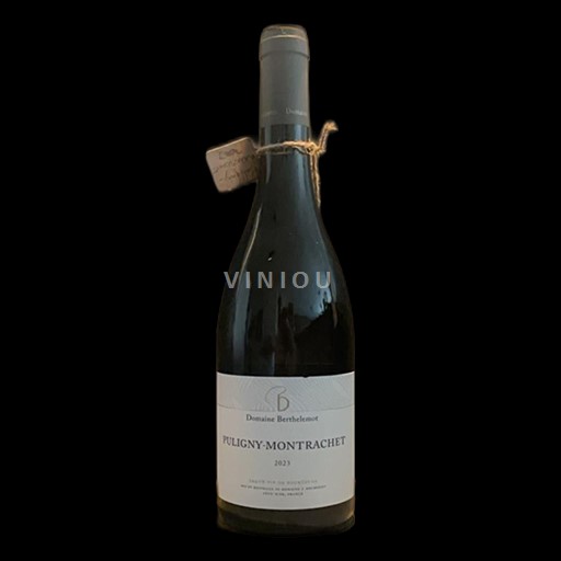 Vin Blanc sec Domaine Berthelemot 2023 France Bourgogne Puligny-montrachet AOC