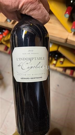 Linguadoca Non specificato Gérard Bertrand L'Indomptable de Cigalus 2019