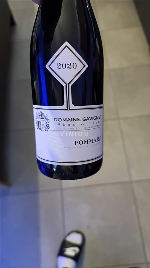Borgoña Pommard Domaine Gachignet Père & Fils 2020