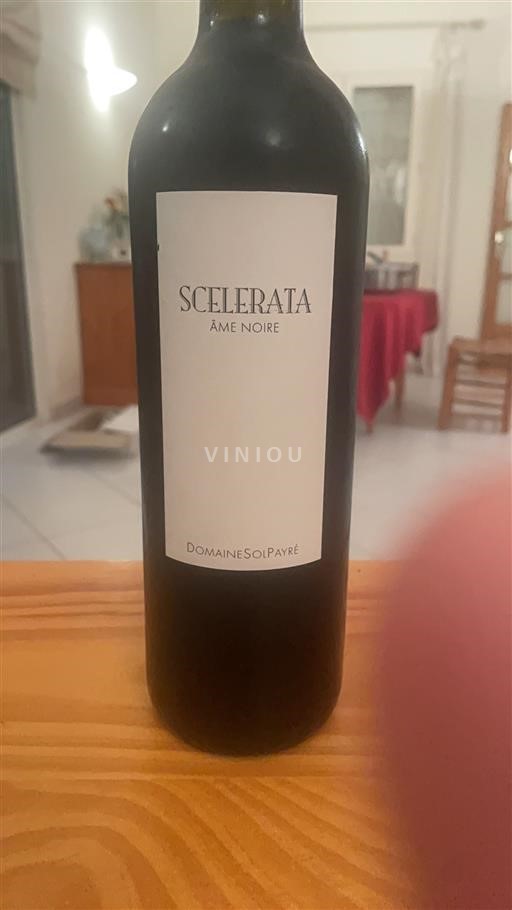 Linguadoca Non specificato Domaine Sol Payré Scelerata Âme Noire 2015