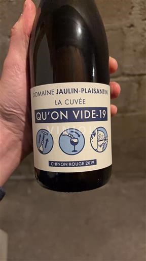 Valle della Loira Chinon Domaine Jaulin-Plaisantin Qu'on Vide-19 2019