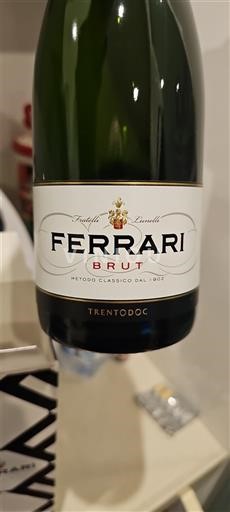 Tridentsko-Horní Adiže Nespecifikováno Ferrari Neročník