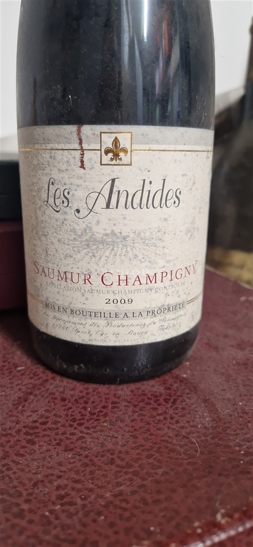 Loire Valley Saumur-Champigny Les Andides 2009