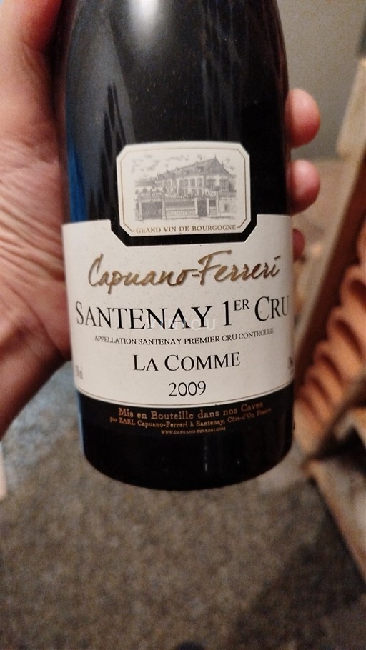 Bourgogne Santenay Premier Cru Capuano-Ferreri La Comme 2009