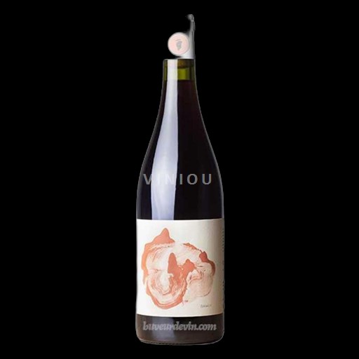 Vin Rouge sec Garnacha Antoine Clavel 2024 France Languedoc Vin de France nature