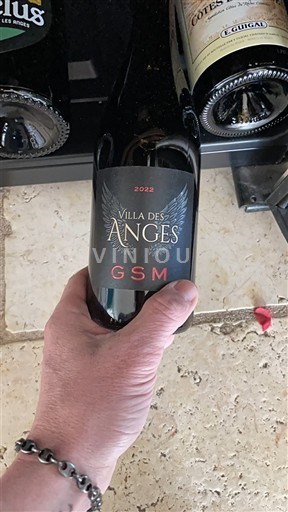 Лангедок и Русијон Окситански регион Villa des Anges GSM 2022