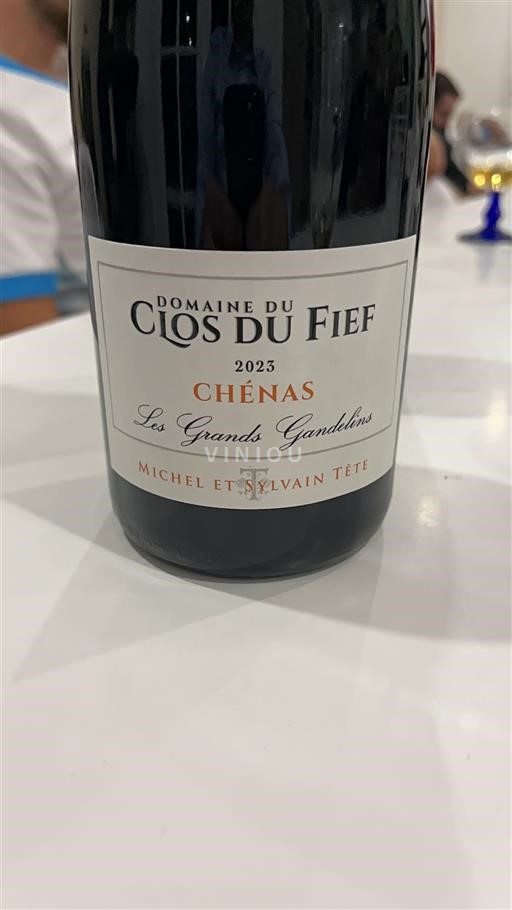 Beaujolais Chénas Domaine Clos du Fief Les Grands Gandelins 2023