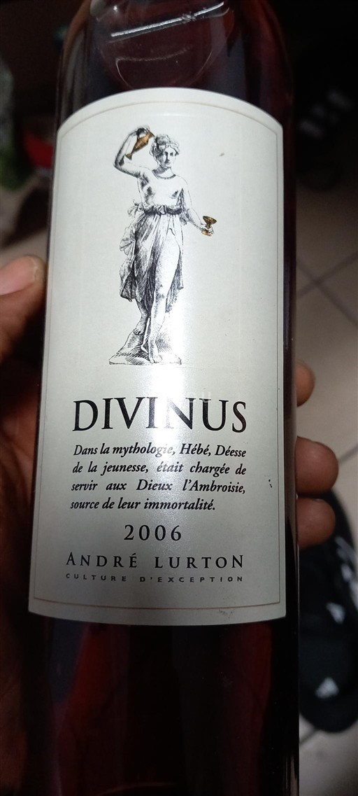 Bordeaux Pessac-Léognan André Lurton Divinus 2006