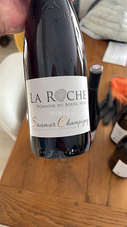 Loire Valley Saumur-Champigny Domaine Bourg Neuf La Roche 2024