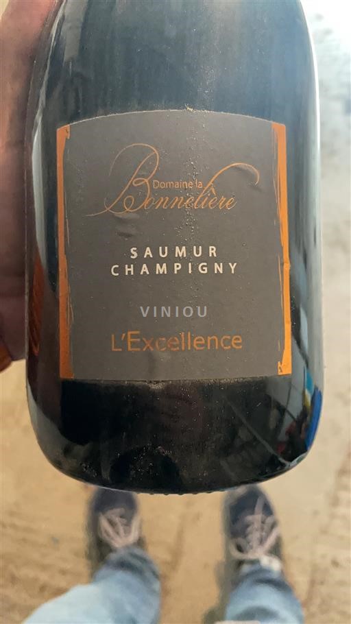 Loire Valley Saumur-Champigny Domaine La Bonnelière L'Excellence 2010