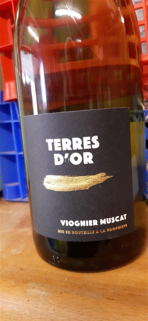 Languedoc-Roussillon Pays d'Oc Terres Or 2023 Non-Vintage