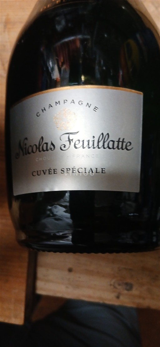 Champagne Nicolas Feuillatte Spéciale Non-Vintage