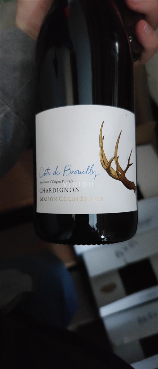 Vin Rouge sec Chardignon Maison Colin Seguin 2021 France Beaujolais Côte-de-brouilly AOC