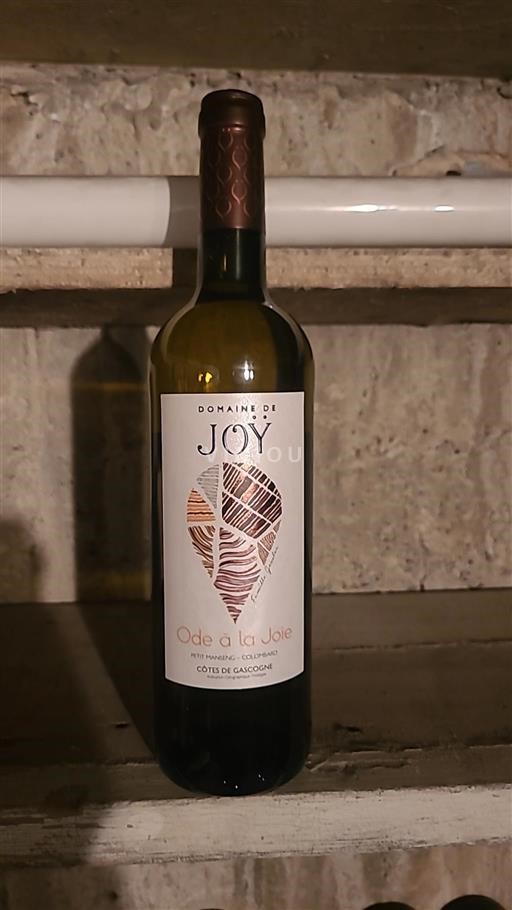 Sudoeste Côtes de Gascogne Domaine Joÿ Ode à la Joie 2021