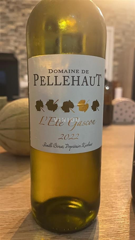 Südwestfrankreich Côtes de Gascogne Domaine Pellehaut L'Été Gascon 2022