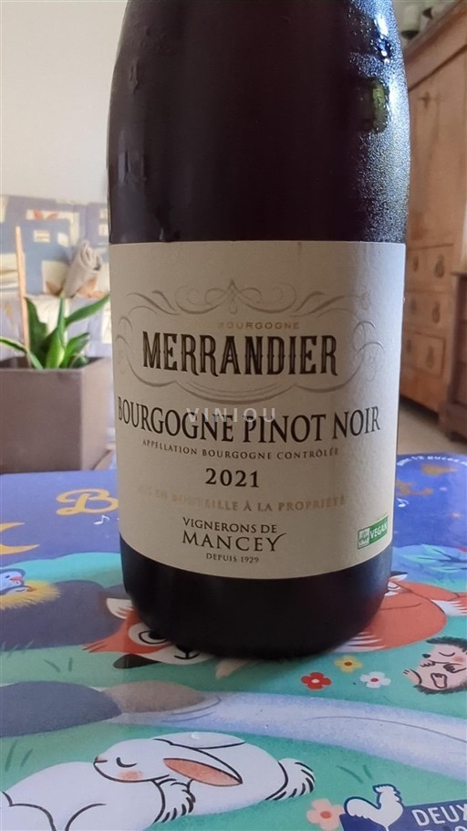 Bourgondië Bourgogne Merrandier 2021