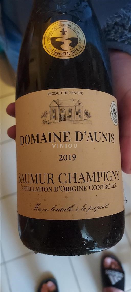 Loire Valley Saumur-Champigny Domaine Aunis 2019
