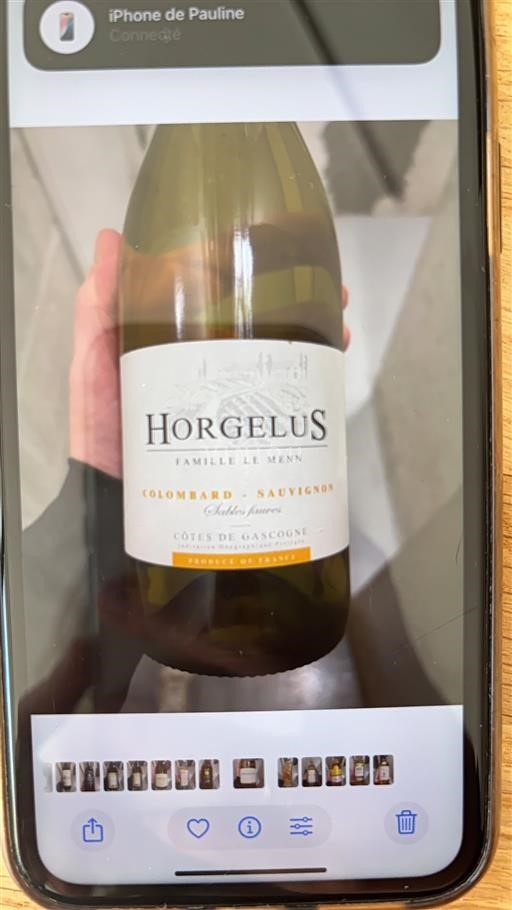 Sudoeste Côtes de Gascogne Horgelus Colombard - Sauvignon 2020