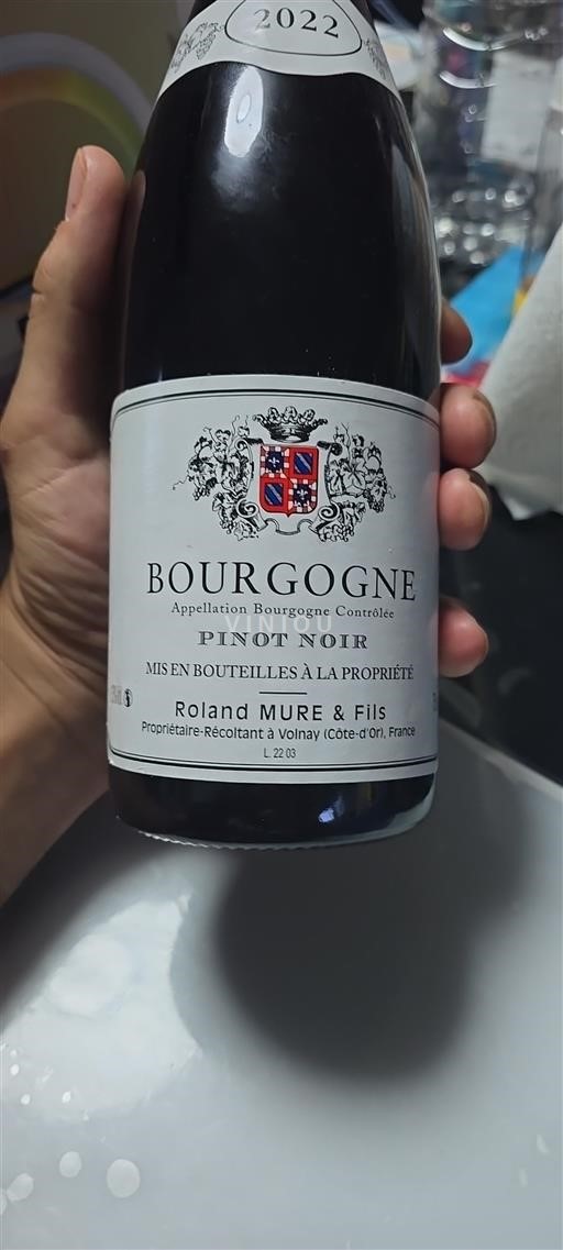 Bourgondië Bourgogne Roland Mure & Fils Pinot Noir 2022