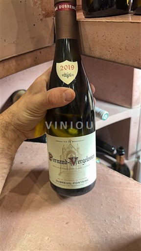 Burgundi Pernand-vergelesses Dubreuil-Fontaine 2019